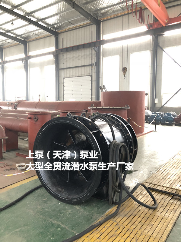 江苏南京潜水轴流泵型号