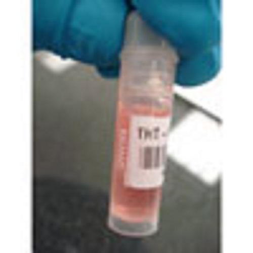 实验室耐低温冷冻液氮标签