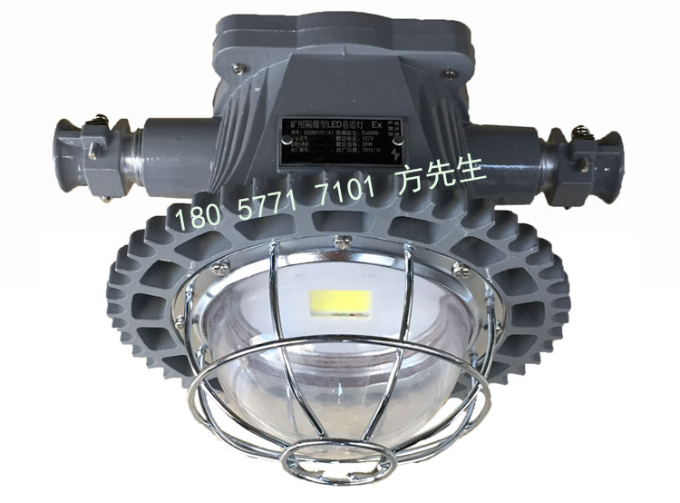 DGS30/127L(B)矿用隔爆型LED巷道灯